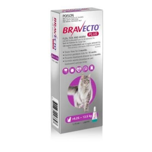 Picture of BRAVECTO CAT PLUS 6.25-12.5KG PURPLE