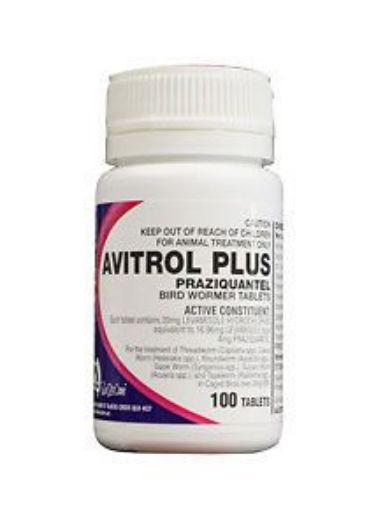 Picture of Avitrol Plus 100 Tablets