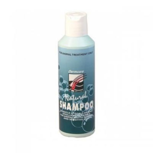 Picture of Dermcare Natural Shampoo 500ml