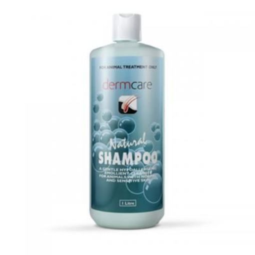 Picture of Dermcare Shampoo 1Lre Natural