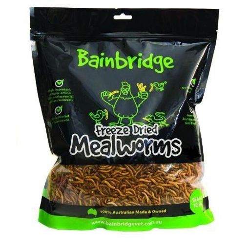 Picture of Freeze Dried Australian Mealworms 250g