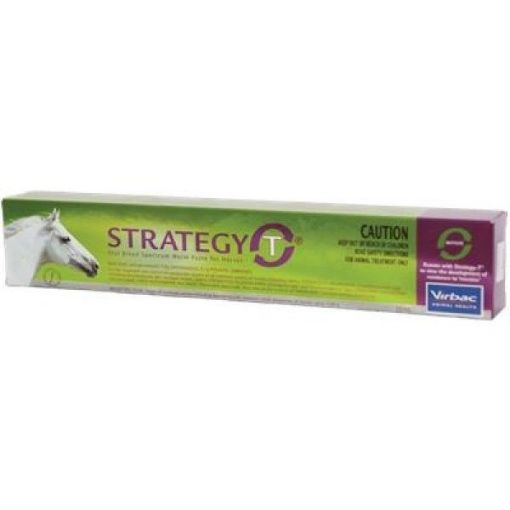 Picture of Strategy T