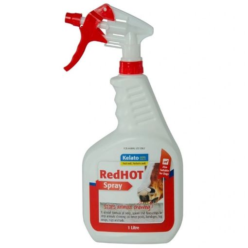 Picture of Red Hot Spray 500ml