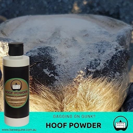 Picture of Hoof Powder - Odour and Moisture Management 200g