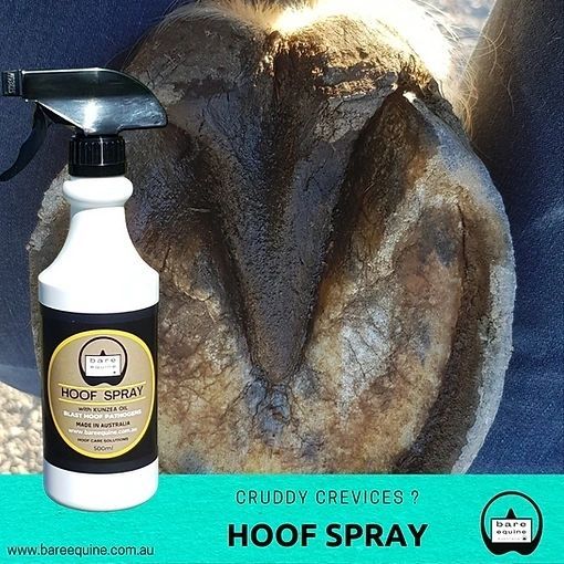 Picture of Hoof Spray - Blast Hoof Pathogens 500ml