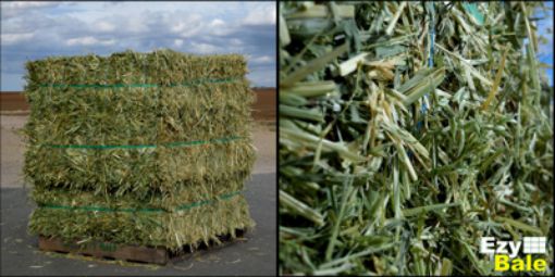 Picture of Oaten Hay Ezy Bales