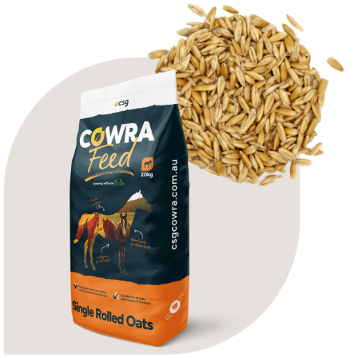 Picture of Cowra Rolled Oats 20kg