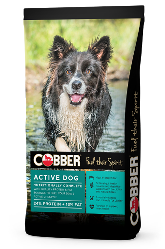 Picture of Cobber Active 20kg