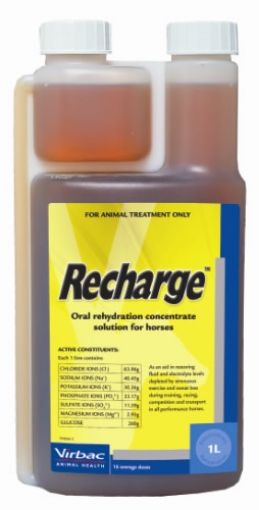 Picture of Recharge for Horses 1L