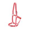 Picture of Rancher Stable Halter -Pony