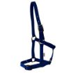 Picture of Rancher Nylon Foal Halter with Buckles