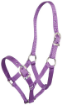 Picture of Small Pony Halter -Shetland