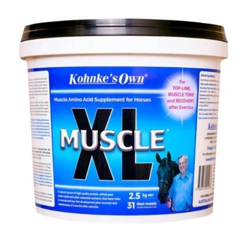 Picture of Muscle XL