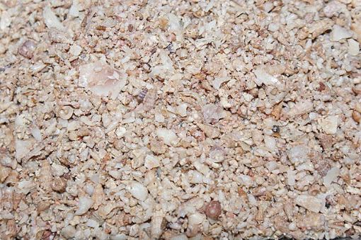 Picture of Shell Grit - Medium 2.5kg