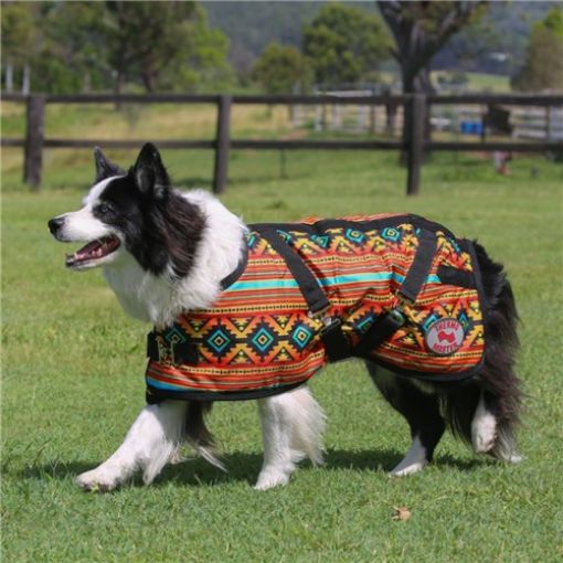 Picture of Dog Coat Nicoma