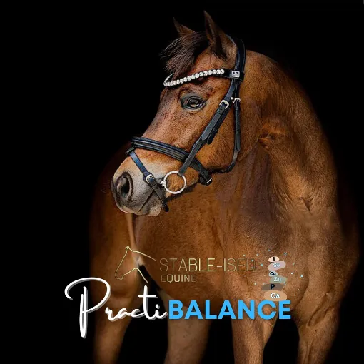 Picture of Stable-ised Equine PractiBalance 20kg