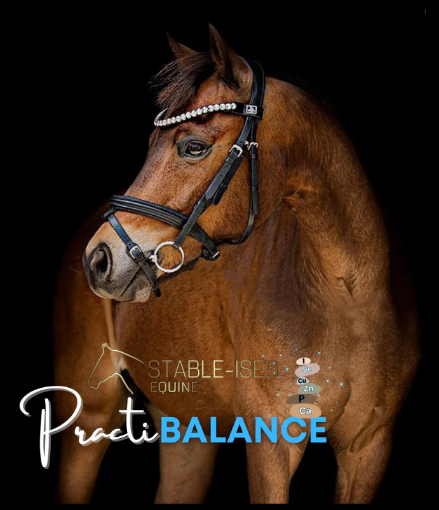 Picture of PractiBALANCE