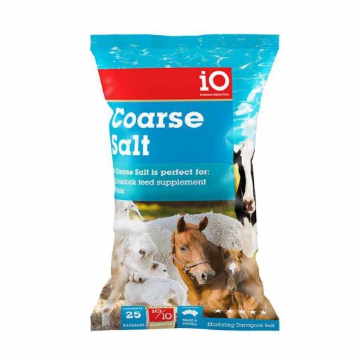 Picture of Coarse Salt